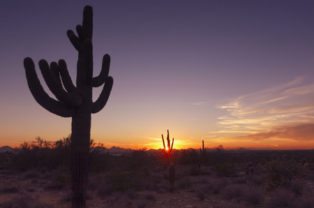 Timelapse desert landscape sunsetの写真素材