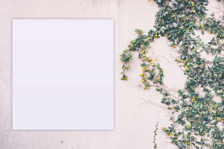 Template for branding identity with blank paper greeting card.