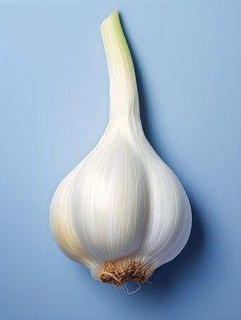 Garlic bulb on blue background. Flat lay, top view.の素材