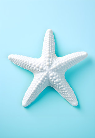 White starfish on blue background. Minimal concept. Top view.の素材