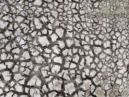 Crack pattern on the ground