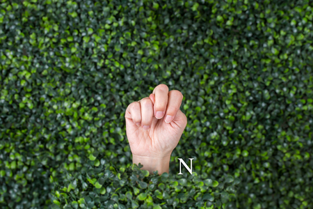 Sign Language Letter N made with hand against green plant backgroundの写真素材