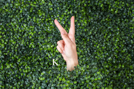 Sign Language Letter made with hand against green plant backgroundの写真素材
