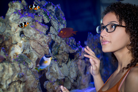 Woman look at different fish inside an aquariumの写真素材