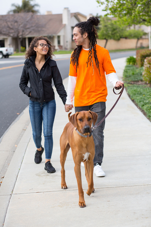 Young couple walking their dog outsideの写真素材