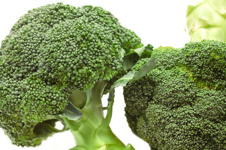 Closeup broccoli on white backgroundの写真素材