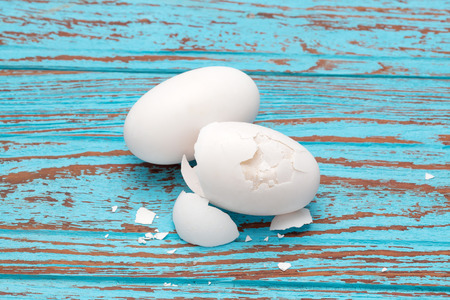 crocodile alligator eggs broken still life blue wood teak backgroundの写真素材