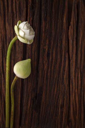 green lotus flower decoration on wooden background beautiful flat lay still life rustic symbol of buddhismの写真素材