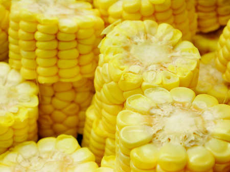 The close up of a fresh sweet corn.