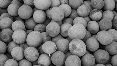 The close up of group of fresh longan at fruit market. (black and white tone)の写真素材