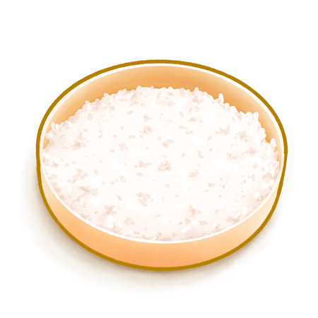 The digital painting of cooked Japanese rice in railway lunch box takeaway bento food isometric icon raster illustration on white background.の写真素材