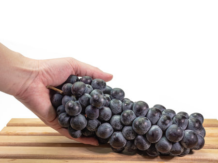 The close up of ripe organic black seedless grape bunch, healthy juicy berry fruits in hand on wooden plank on white background.の写真素材