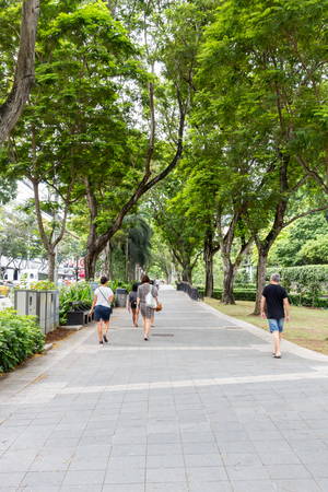 Tree tunnel walkwayのeditorial素材