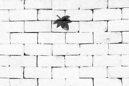 Black maple leaf painted on sorted white brick wallの写真素材