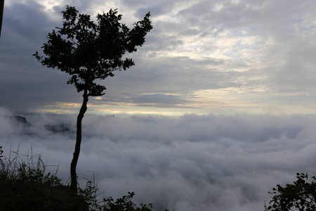 Mist-covered  cliff  in the park  near  Castle  Vihear.の写真素材