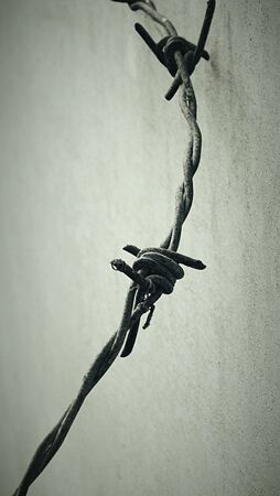 Old barbed wireの素材
