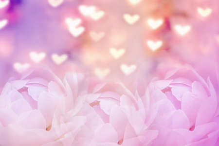 blur background of pink rose with heart shaped bokeh for valentine,abstract backgroundの写真素材
