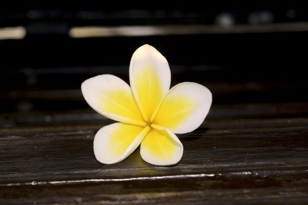 Frangipani or plumeria flower on wooden  blur style for background,spa conceptの写真素材
