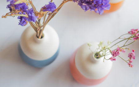 Dry Flower in colorful ceramic vase, Minimal interior decoration concept.の写真素材
