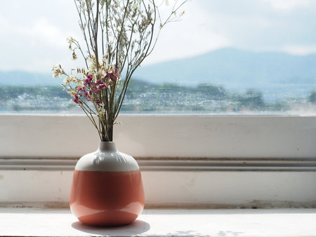 Dry Flower in Pink ceramic vase, Minimal interior decoration concept.の写真素材