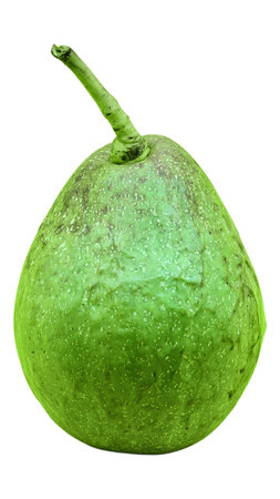 Green Avocado - Fresh Tropical Fruit  isolated on white background. Clipping path.