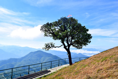 Scenic Mountain Viewpoint with Walkway and Blue Sky at Mae Hong Son, Thailandの写真素材