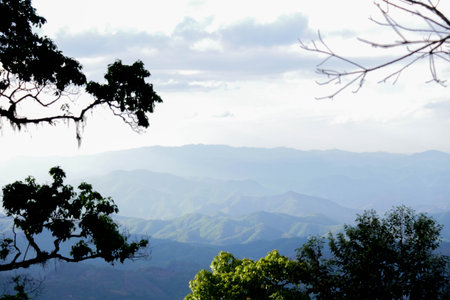 Scenic Mountain View Framed by Tree Branches in Northern Thailand Forestの写真素材