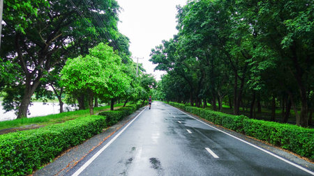Man Running on Wet Road in Green Park After Rainの写真素材