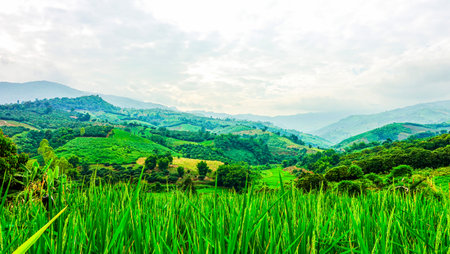Beautiful Mountain View of Phu Chi Fa at Chiangrai Province, Thailand.の写真素材