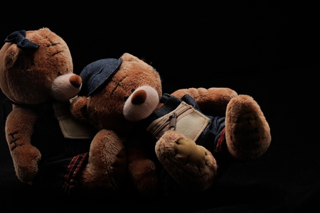 Teddy-Bearsの写真素材