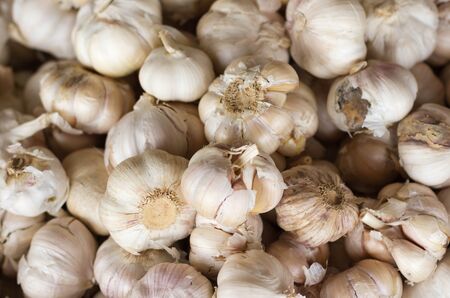 Garlic on the basket
