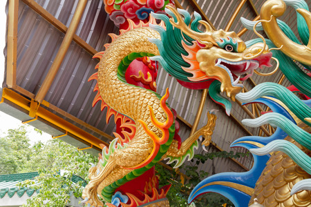 Dargon statueの写真素材