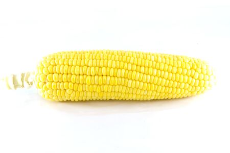 Fresh corn on white background. isolated
