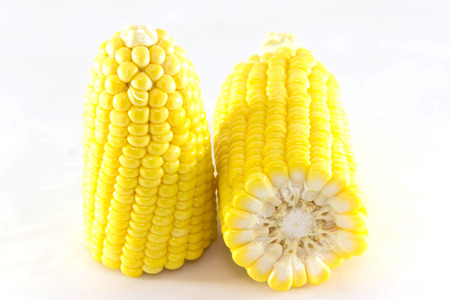 Fresh corn on white background. isolated