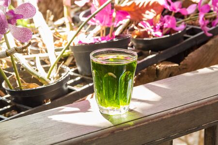 Close up cup of green tea on the wood