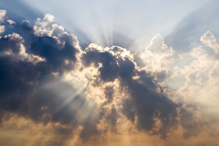 Morning sunlightの写真素材
