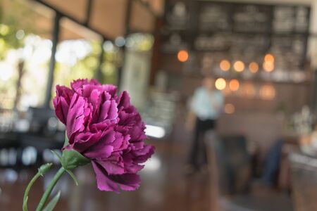 Close up purple flower on the wood table in coffee shop.の写真素材