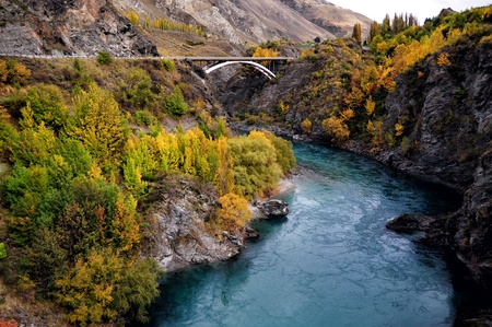 Autumn  Fall in New Zealand