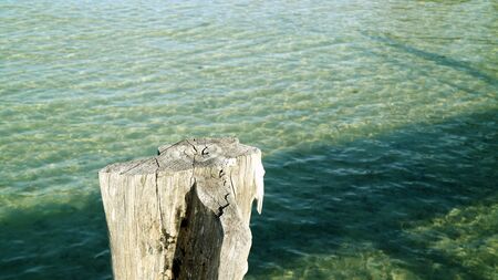 stump in sea