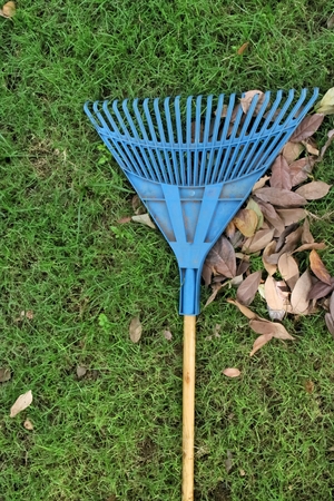 blue rake on grassの写真素材