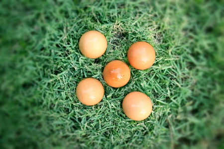 Vintage easter eggs