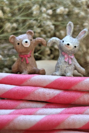 Strawberry wafer stickの写真素材