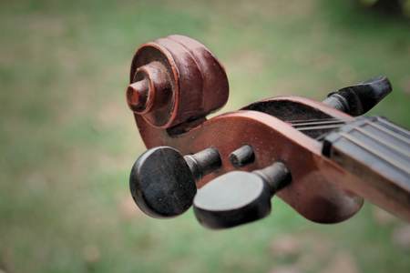 violin in vintage styleの写真素材