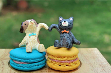 Colorful French Macaroon on wooden backgroundの写真素材