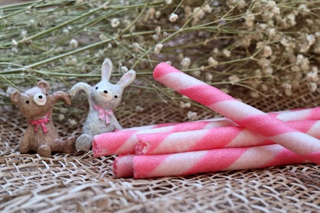 Strawberry wafer stick