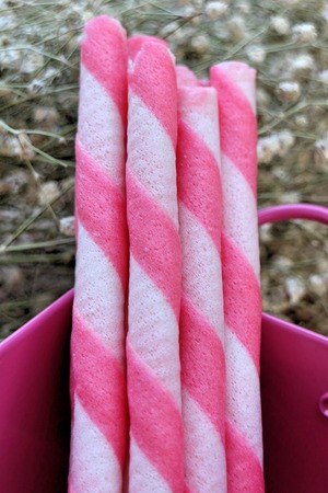 Strawberry wafer stickの写真素材