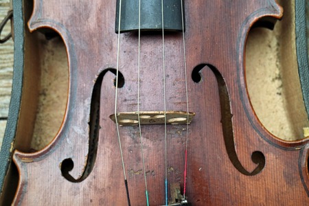 violin in vintage styleの写真素材