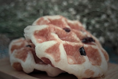 Raisin Waffle on wooden platesの写真素材
