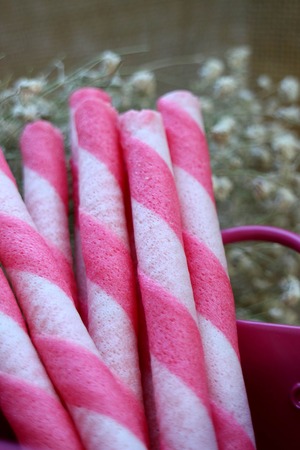 Strawberry wafer stickの写真素材