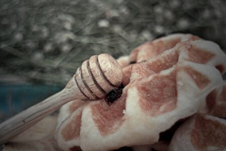 Raisin Waffle on wooden platesの写真素材